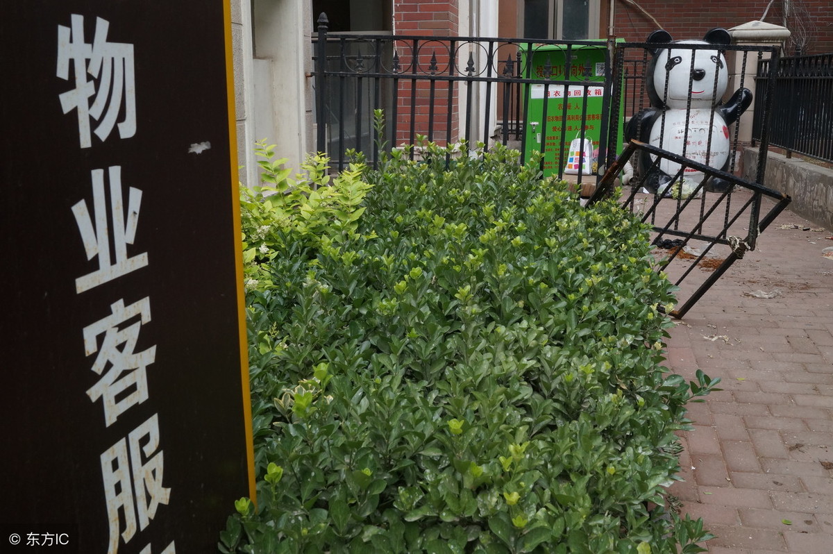 小区物业收费不作为去哪投诉,小区服务不达标怎么收取物业费