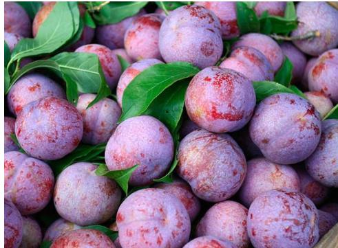 时令水果清甜可口,应季水果清甜可口软滑多汁