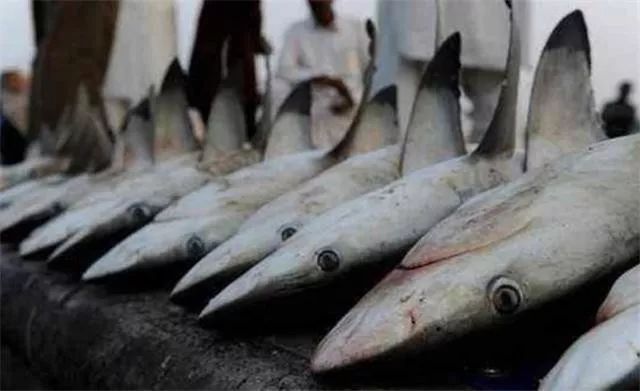 迪拜到底有多壕看了你就知道,真实的迪拜没你想象中那么好