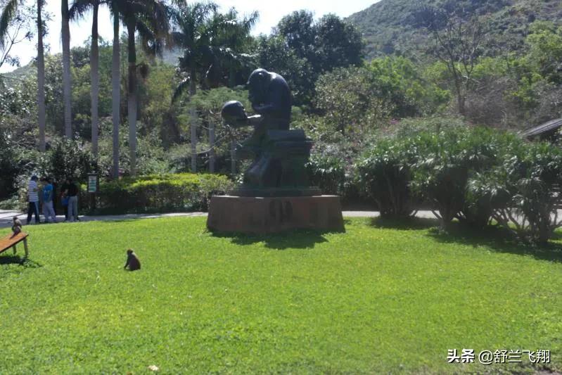 海南南湾猴岛上的猴子,海南著名的南湾猴岛在哪里
