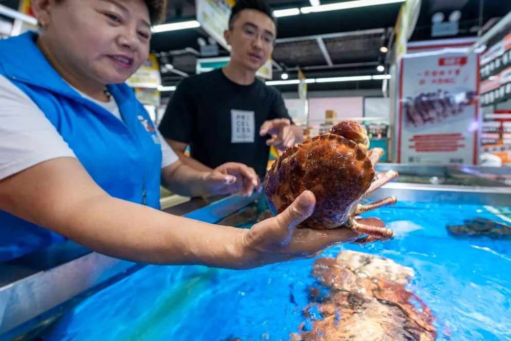 大连人都喜欢的平价海鲜超市，现捞现歹不是梦