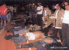 10月6日历史上的事,11月8日历史上发生的大事