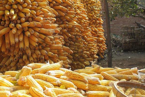 农村小型加工厂加盟项目有哪些,农村代加工好项目