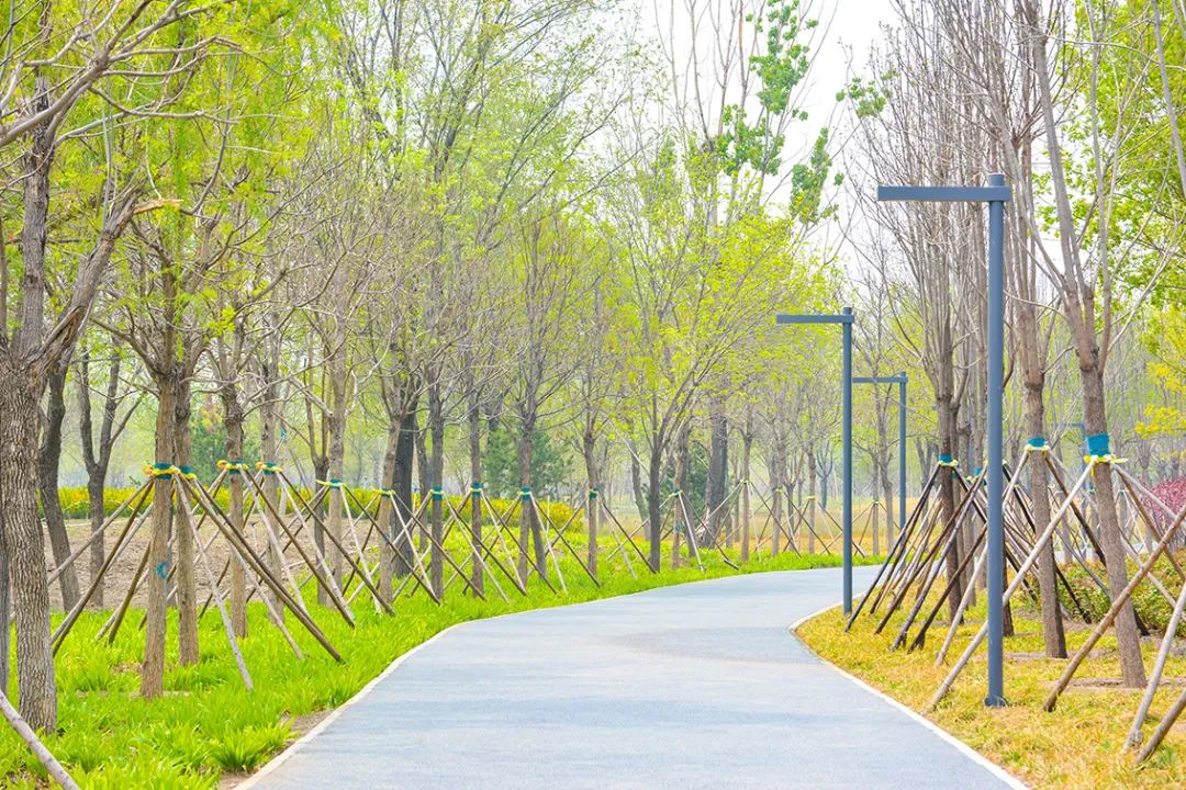 春意盎然北京五大公园,北京区级综合性公园