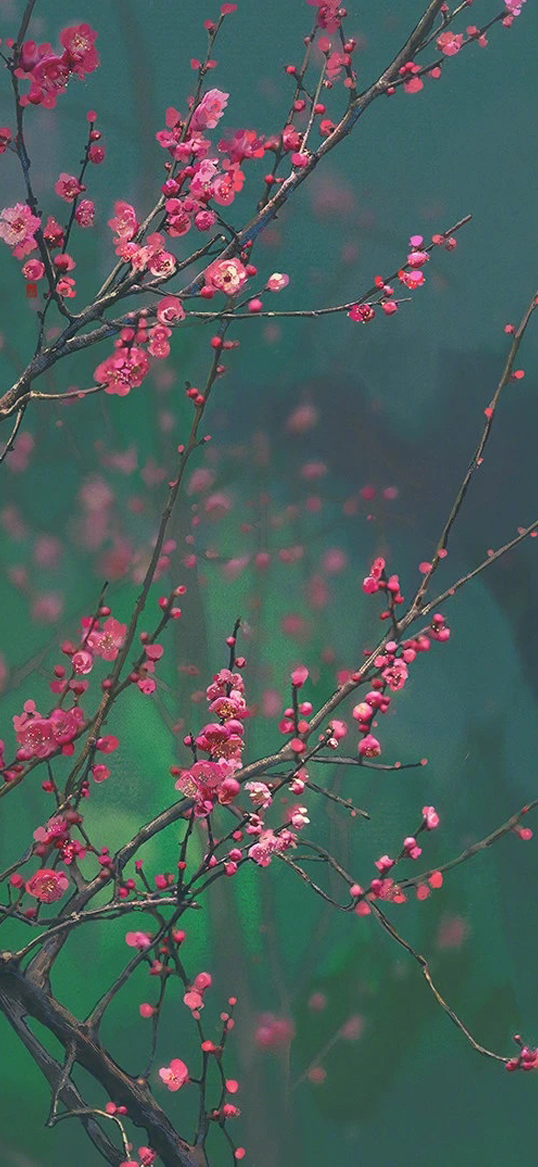 热门壁纸134期,快收藏高质量壁纸合集