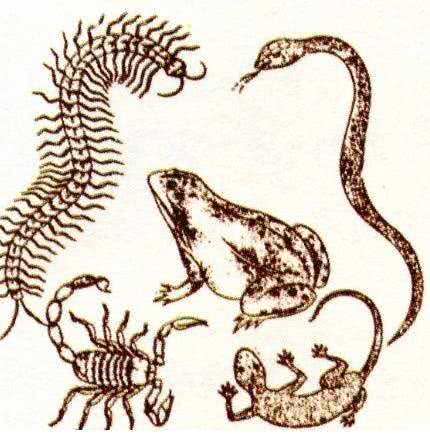 中华上下5000年知识为孩子收藏吧,中华上下5000年知识大全