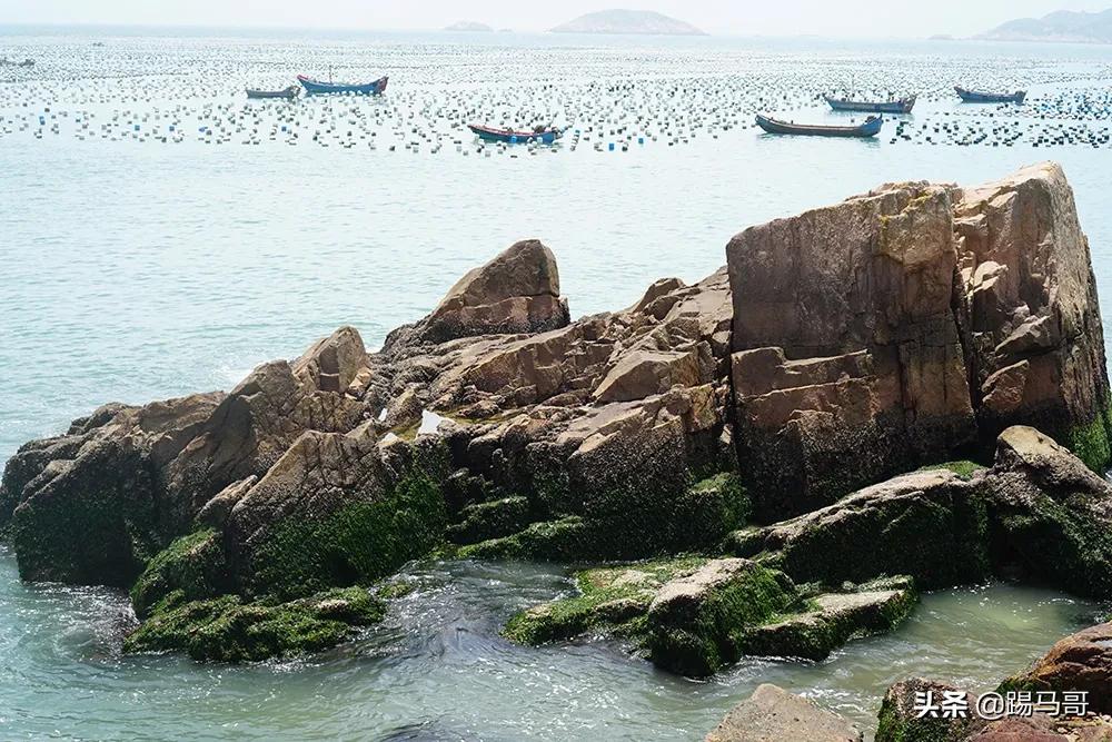 海南东极岛自由行攻略 (嵊泗列岛东极岛枸杞岛哪个值得去)