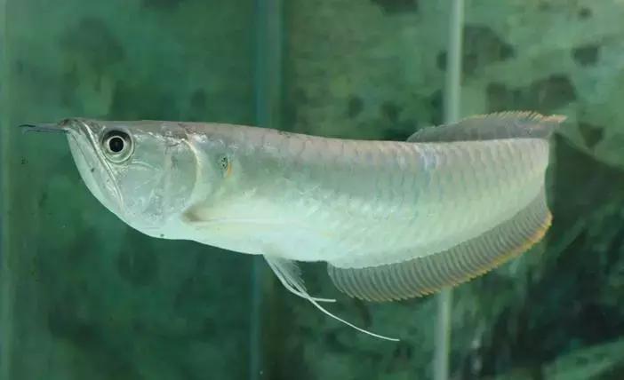 民宿酒店创业准备,如何做民宿酒店管理