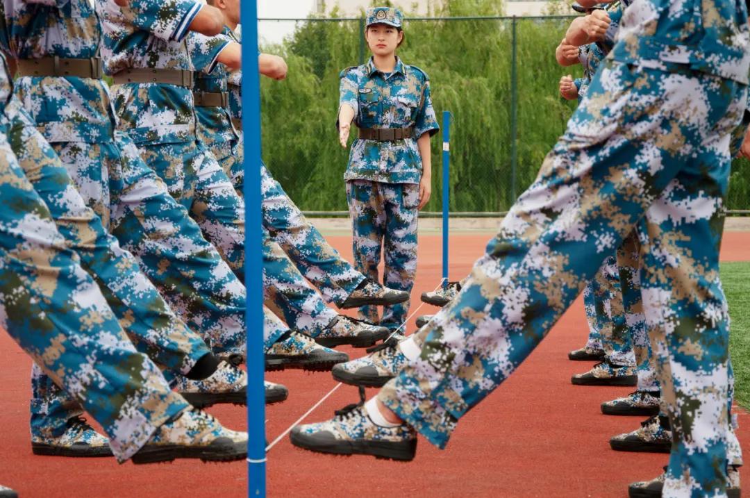 新生攻略视频,新生介绍通关攻略