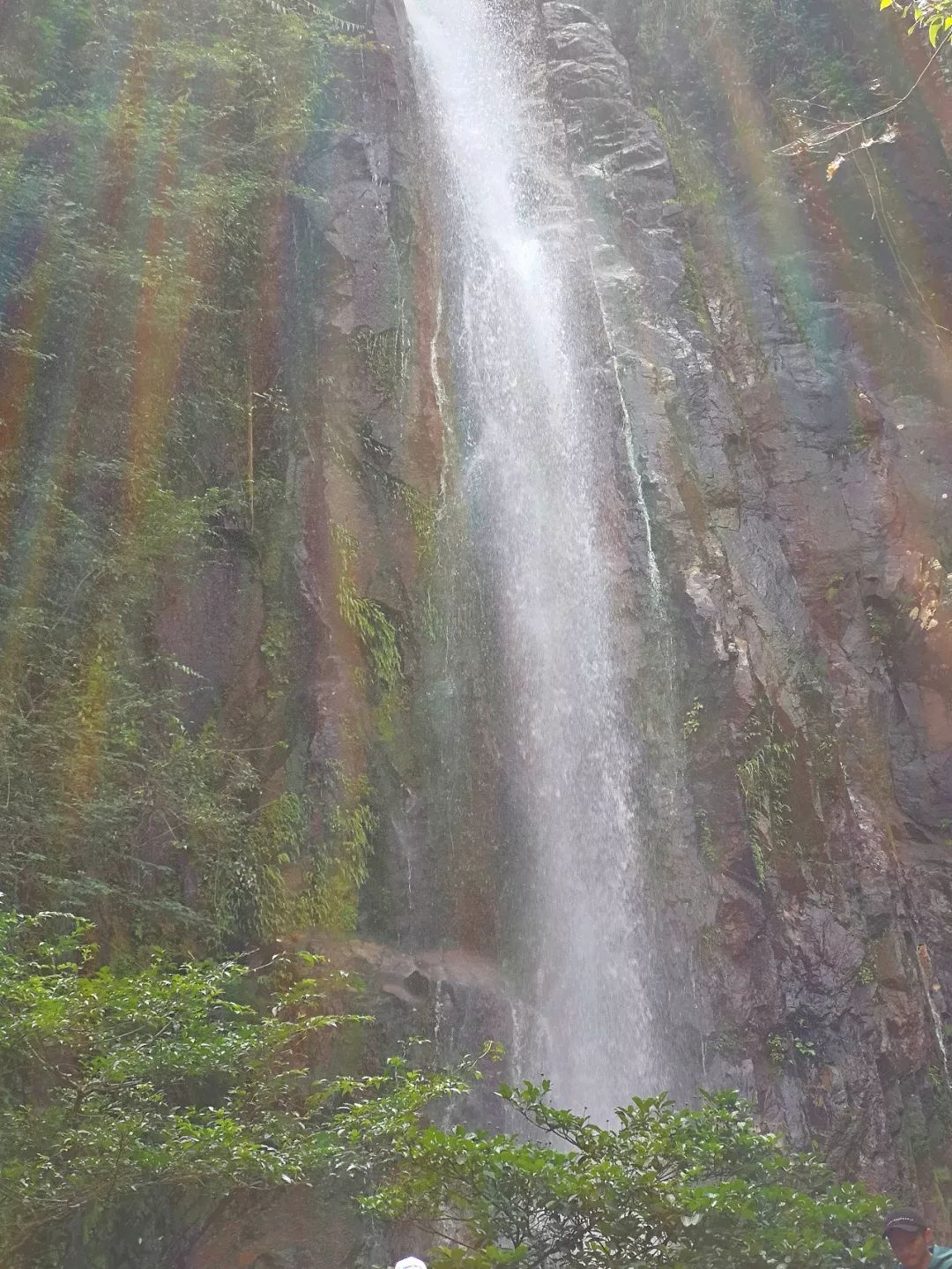 贺州姑婆山景区国家森林公园,贺州姑婆山森林公园路线