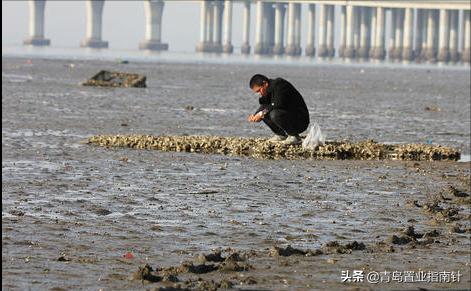“宇宙中心”告吹，地铁又被砍；红岛高新区，最近比较烦？