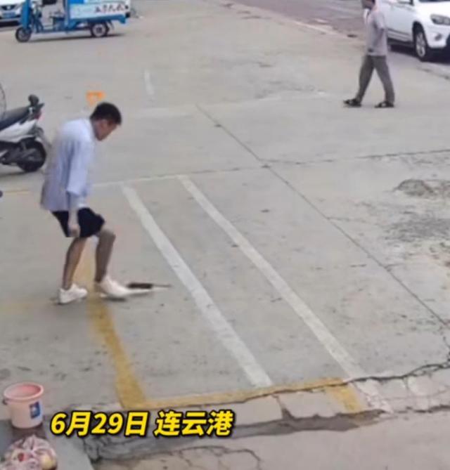 一男子踢飞老鼠,江苏一男子踢飞老鼠