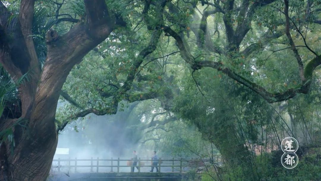 丽水市八都镇民宿,丽水民宿五百左右