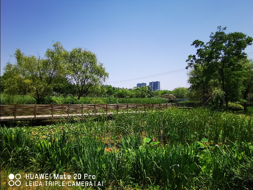 大美滨湖全景图,合肥滨湖塘西河公园美景