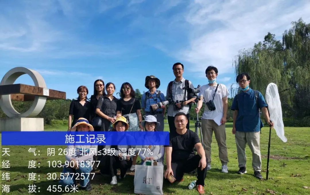 珍稀鸟类现身成都,在双流春游看花