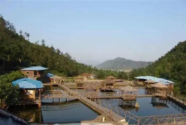 宁德市区哪里有便宜的民宿,宁德拎包入住民宿