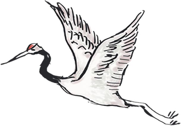 在中国歌曲,音乐在中国的发展史