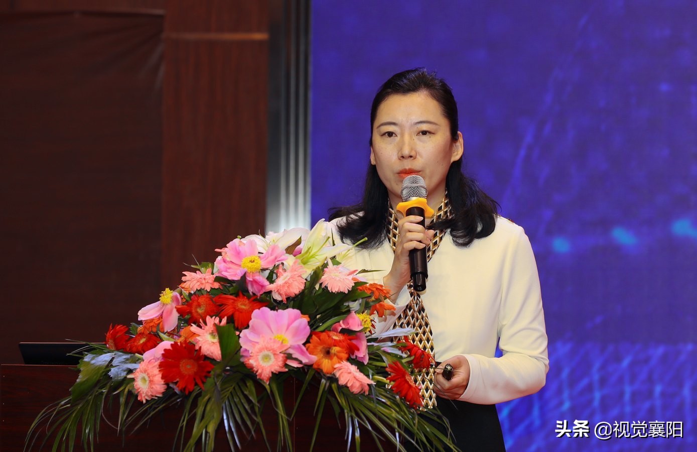 襄阳佳海工业园官网,襄阳佳海工业园规划