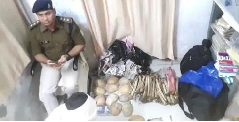 印尼富二代用儿童脊椎和鳄鱼舌头,24岁印尼富二代手拿爆人骨包