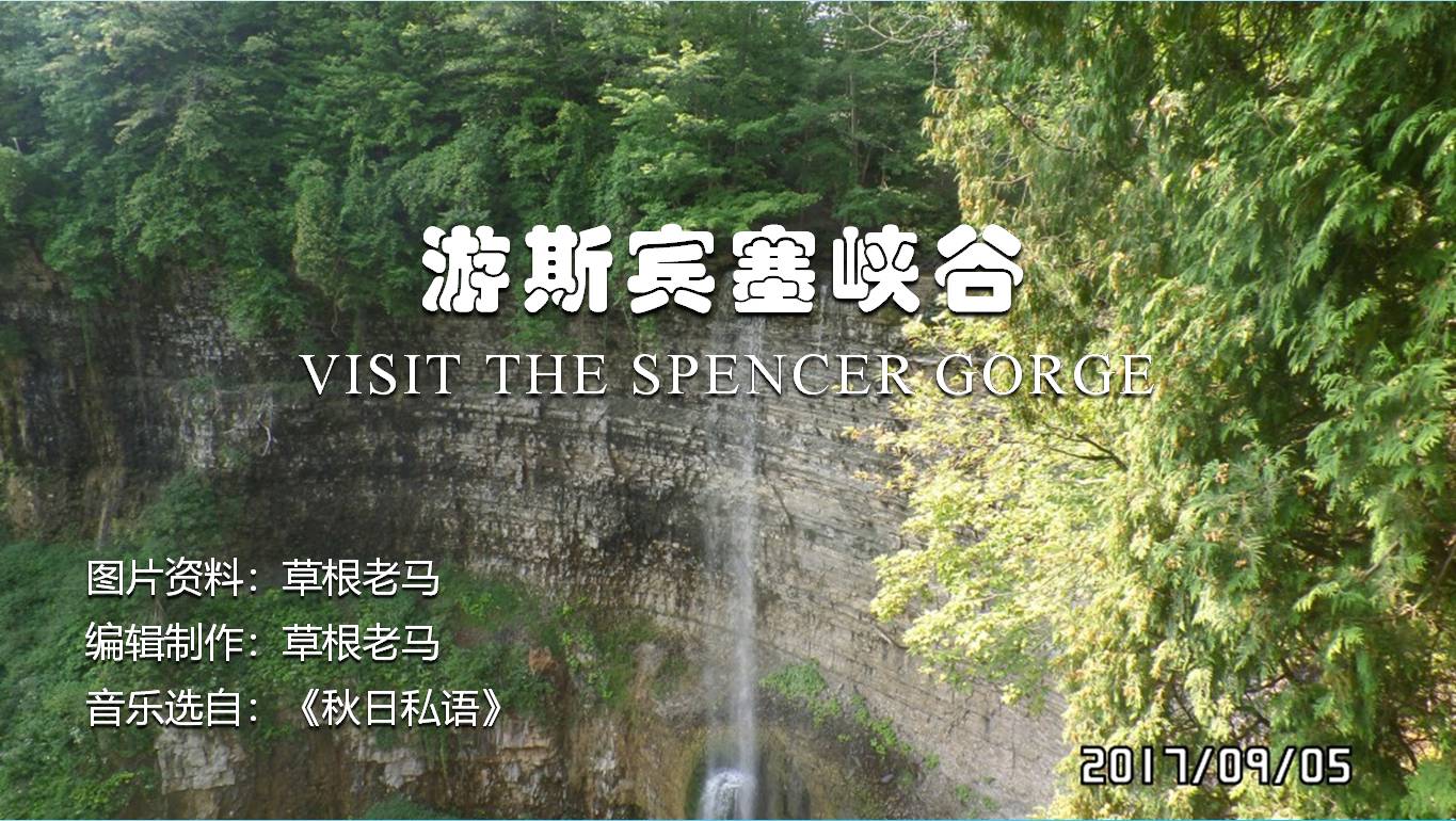 手机ppt制作教程视频入门,用手机把照片做成ppt咋做