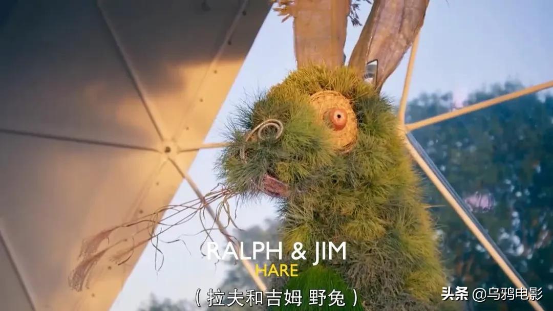 这也能拍出花?网飞又开挂了,每集都让我惊掉下巴