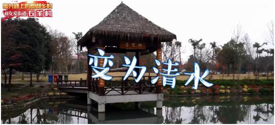 成都郫都区美丽乡村建设,郫都区美丽乡村