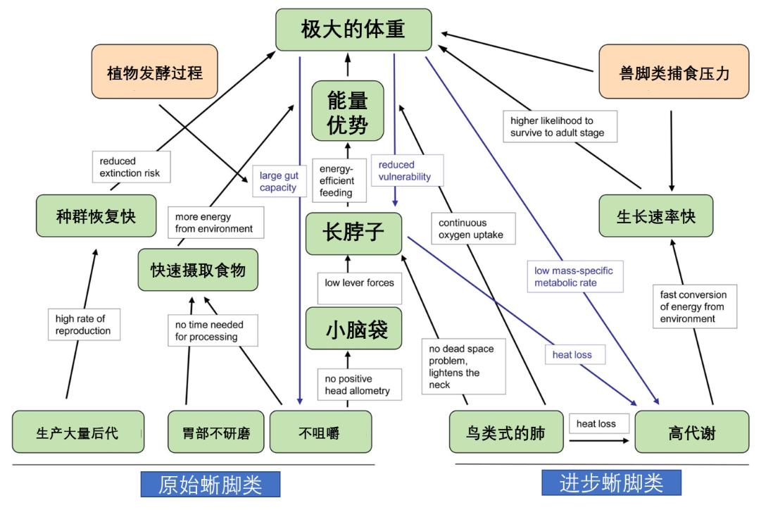 动物为什么不能无限长大,动物不能成精是怎么阻止的