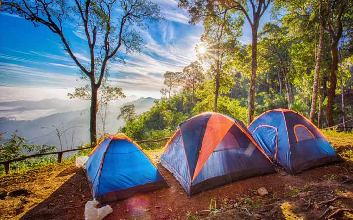 医用小苏打的妇科作用与用途,小苏打干法脱硫脱硝后的用途