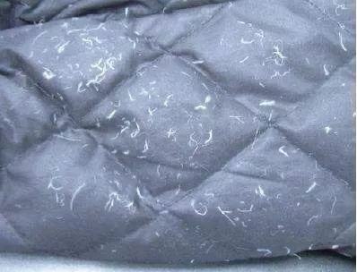 恭喜你！在冻成狗之前看到了这篇最最最靠谱的气凝胶服装测评