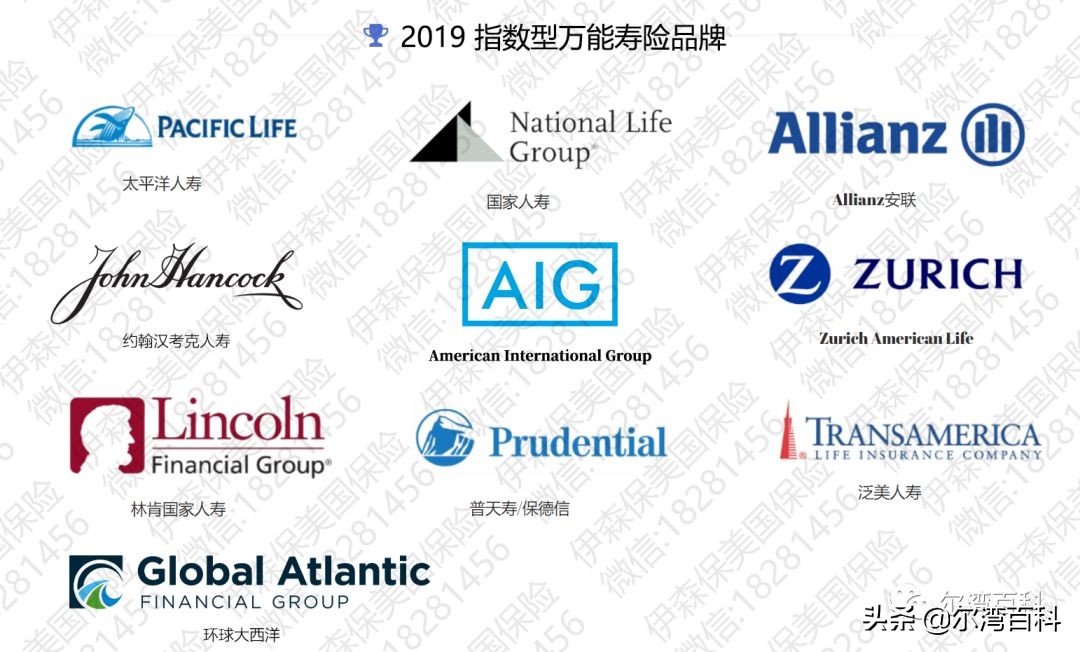 人寿保险终身寿险万能型,新华保险年金险万能型