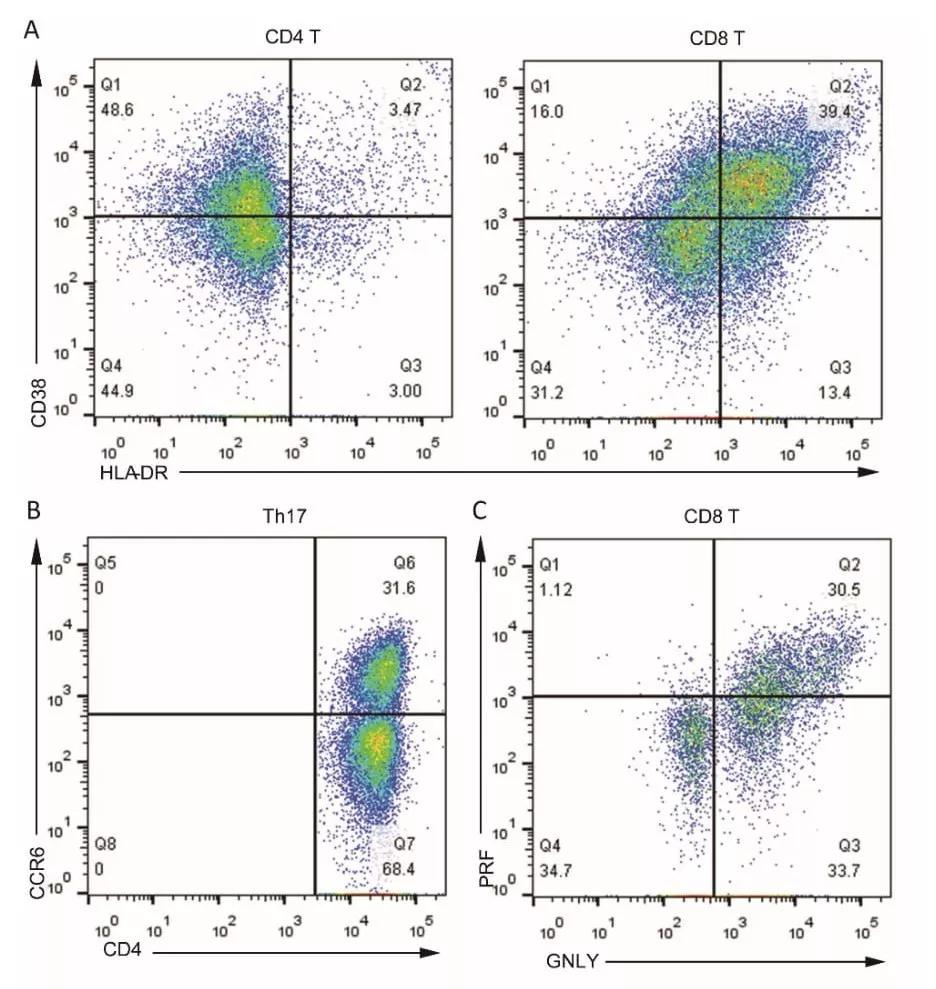新冠肺炎的病理解剖图,全球首例新冠肺炎尸检结果