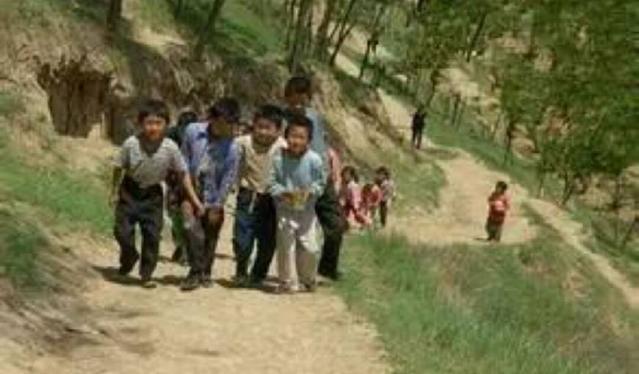 林场，我记忆的沟回