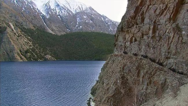 1992西藏砖茶,新疆的砖茶是什么茶