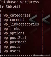 “黑客”实战篇之“网站入侵的攻与防详解”