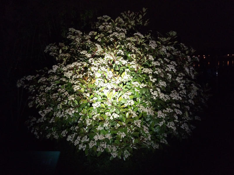 纳丽德ta15手电暴力测试,新款纳丽德ta15