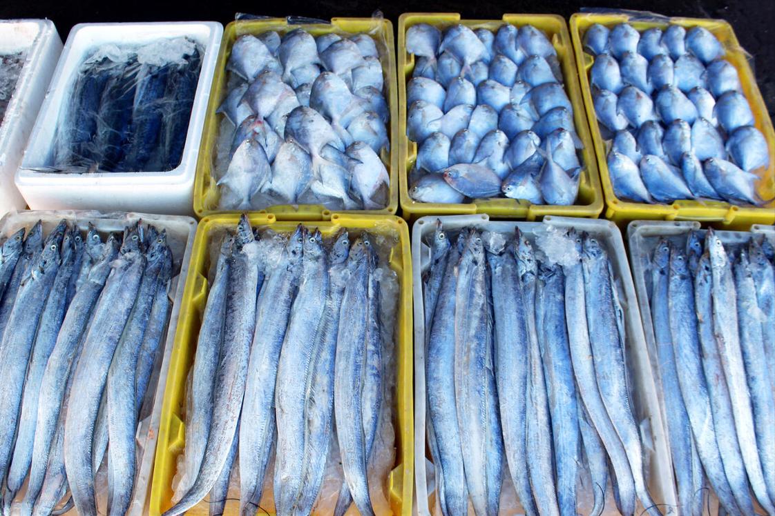 中国哪里的带鱼最好吃评测,全国哪里的带鱼最好吃