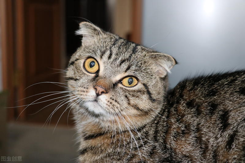 每一位宝贝的终极顽固分子“皮肤病”