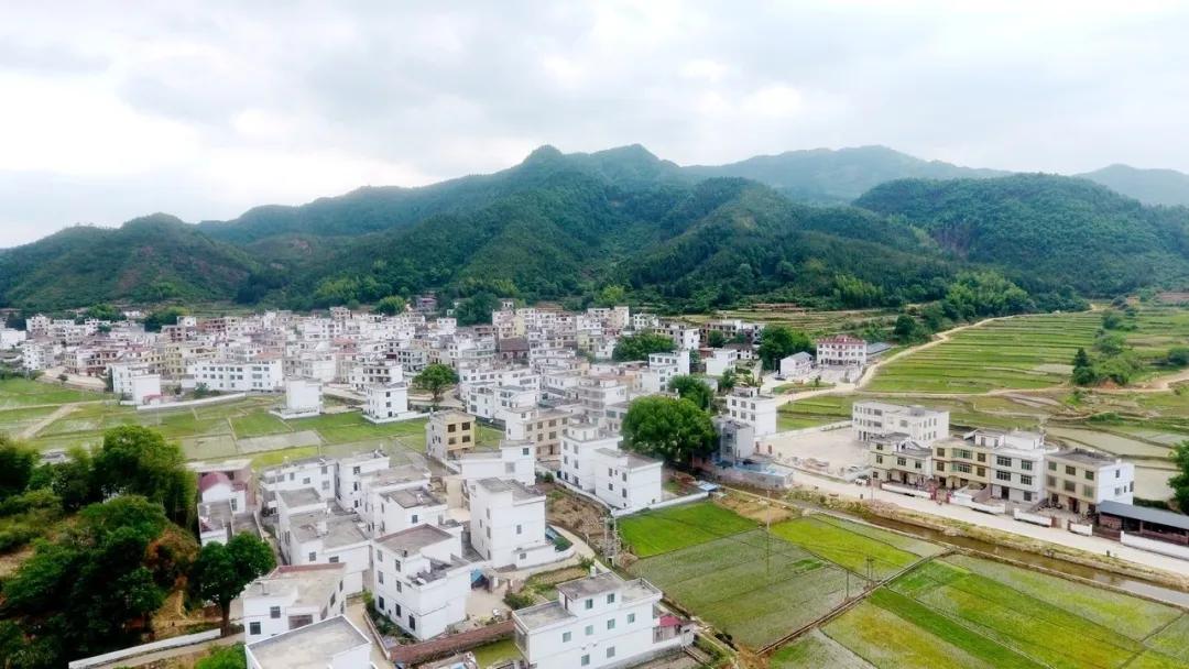 大坪上洛村,深度贫困村打赢翻身仗