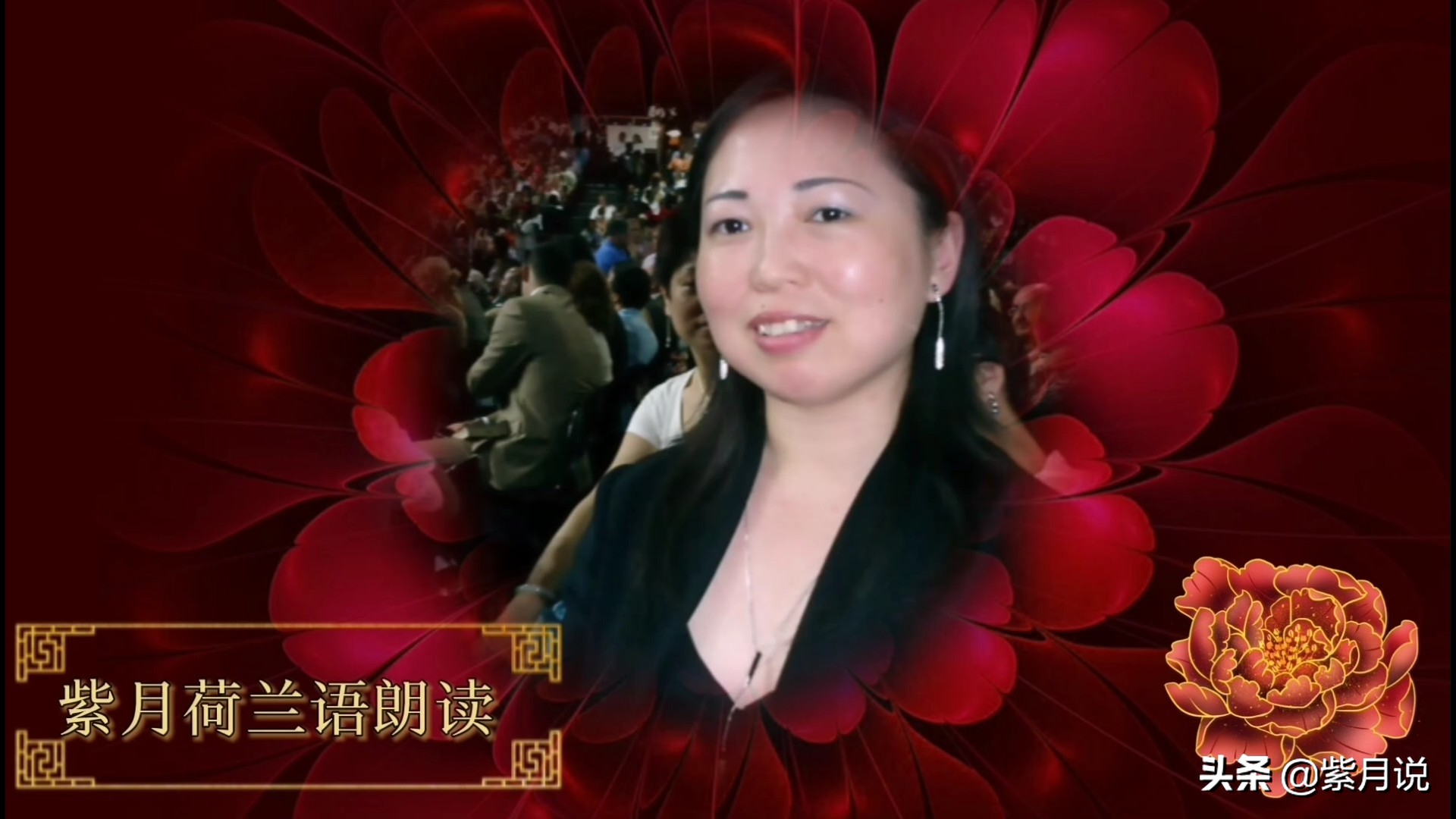 紫月中文朗读版,苏轼水调歌头朗读视频和句子