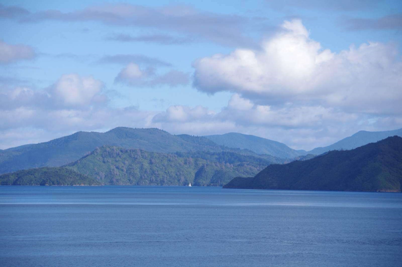 库克海峡为什么不建跨海大桥,新西兰为什么不建造跨海大桥