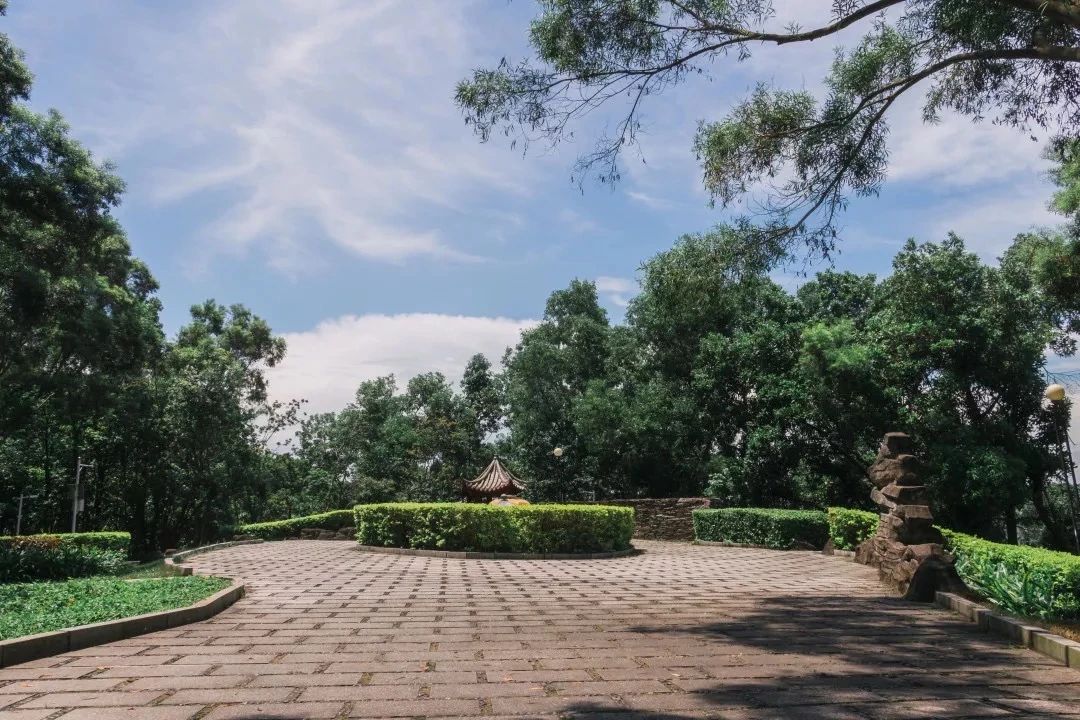 2021深圳免费适合遛娃玩地方排名,深圳免费游玩景点推荐