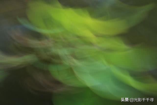 教你怎么拍出漂亮的荷花,摄影如何拍出荷花的感觉