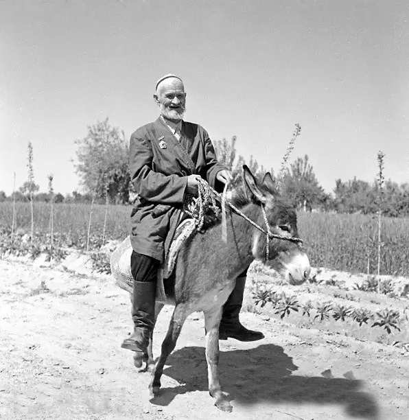 库尔班：想骑驴看望主席，临终遗训：从军报国，重孙女成航母女兵