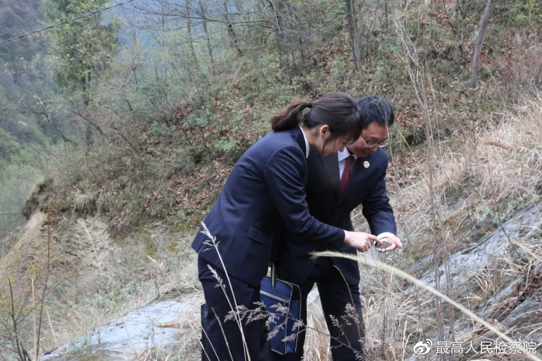 个人信息泄露公益诉讼典型案例,检察院公益诉讼十大典型案例