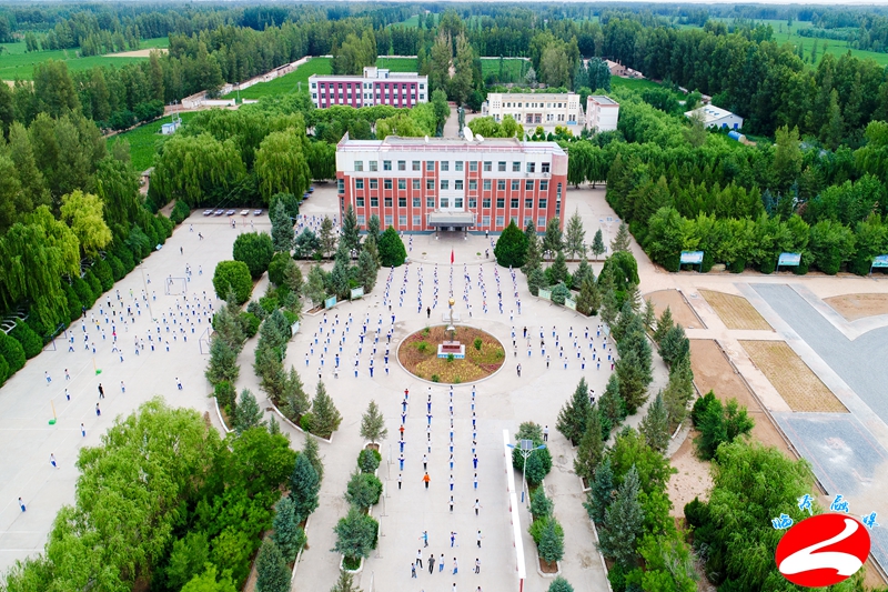 临泽县融媒视频,临泽融媒近期新闻