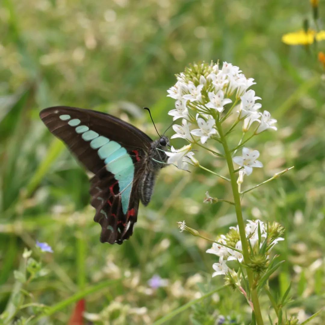 合肥融创茂宝藏秘境,合肥宝藏地