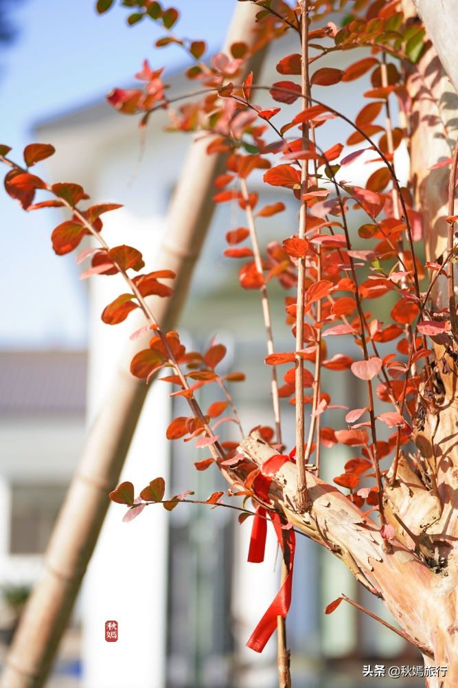 常熟海虞铜官山景区有什么,常熟海虞铜官山生态观光园