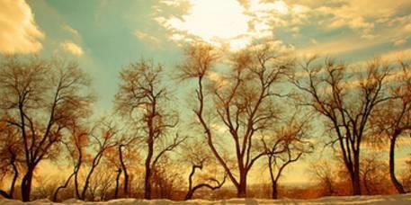 五种有福之人的福气,鬼谷子福气