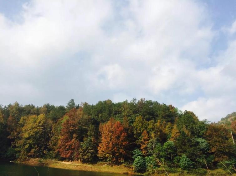 南宁周边自驾游网红景点打卡,2016南宁周边自驾游