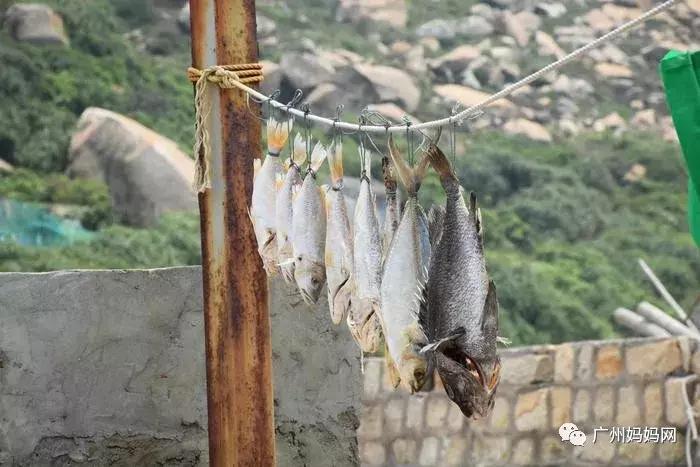 广州夏天带娃避暑最佳旅游地,广州避暑适合小孩景点推荐